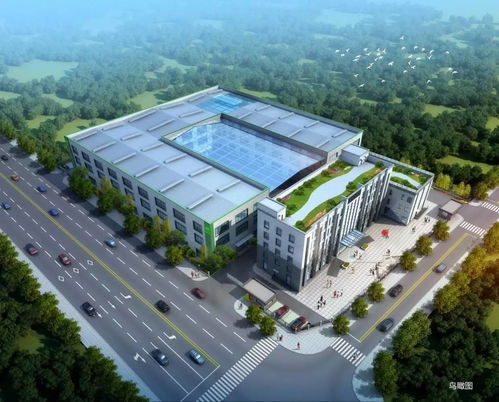 做苦蕎,我們是專業的